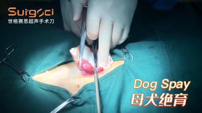 পোষা প্রাণীর অস্ত্রোপচারের জন্য ভেটেরিনারি অতিস্বনক সার্জিক্যাল স্ক্যাল্পেল অতিস্বনক স্ক্যাল্পেল সিস্টেম 6