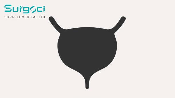 সর্বশেষ কোম্পানির খবর ব্লাডার টিউবারকুলোসিসের ক্লিনিক্যাল শ্রেণীবিভাগ।  0